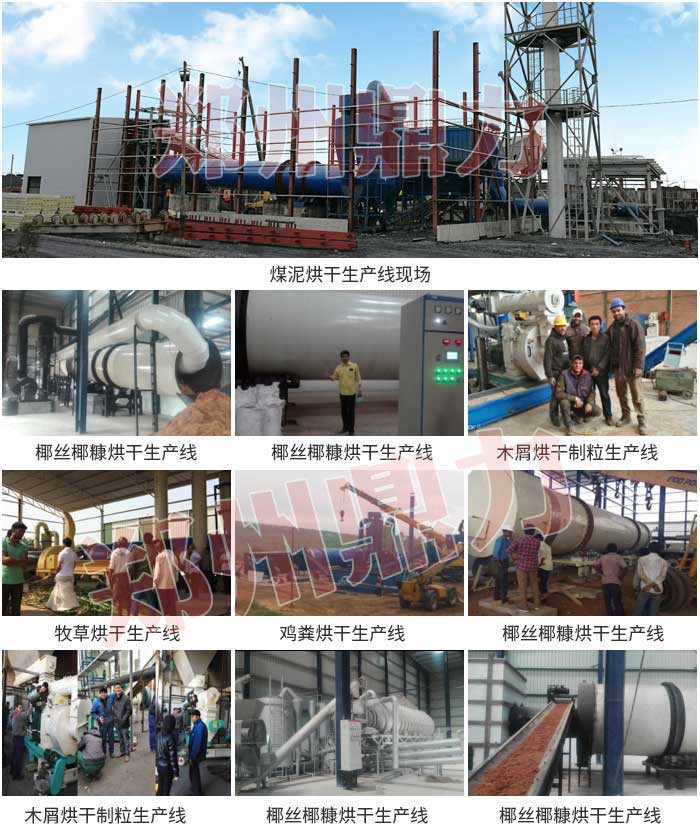 鼎力烘干機項目圖